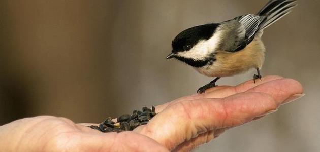 الواثقه بالله tweet media