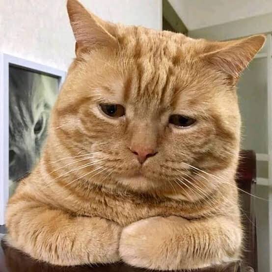 wongsatset's tweet photo. @amandajprr Kuliah online ga paham trus ngabisin kuota ,ga ikut malah nilainya makin suram. Hidup kok serba salah ya allah https://t.co/VIzTJGgsRg
