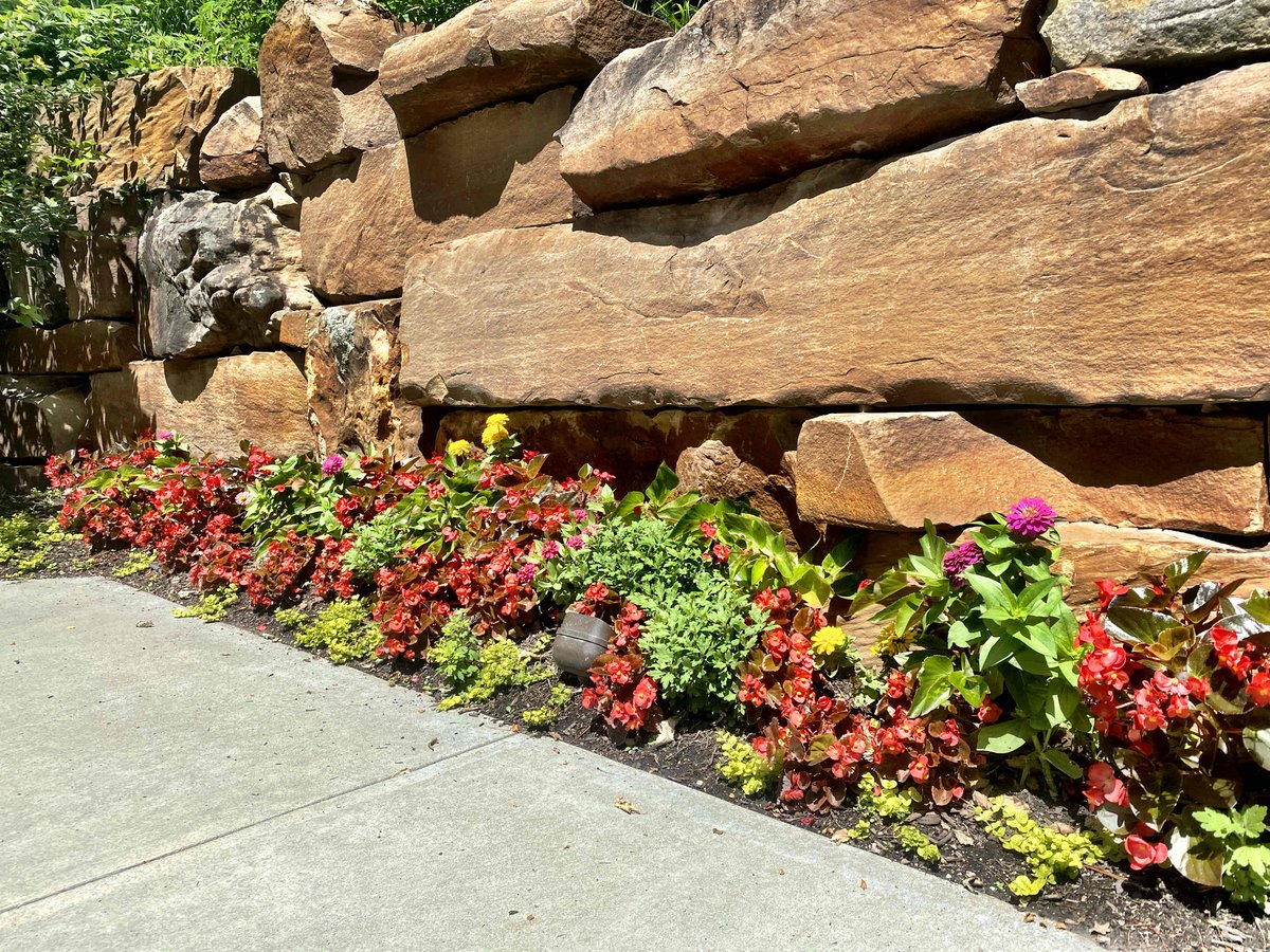 edenartofomaha's tweet photo. The ultimate reward to the Eden Artistry #Flowerteam is the first sign of hummingbirds. #planterenvy #edenartistryinc #colorspecialists #hortnerds https://t.co/X4aFdDkFPB