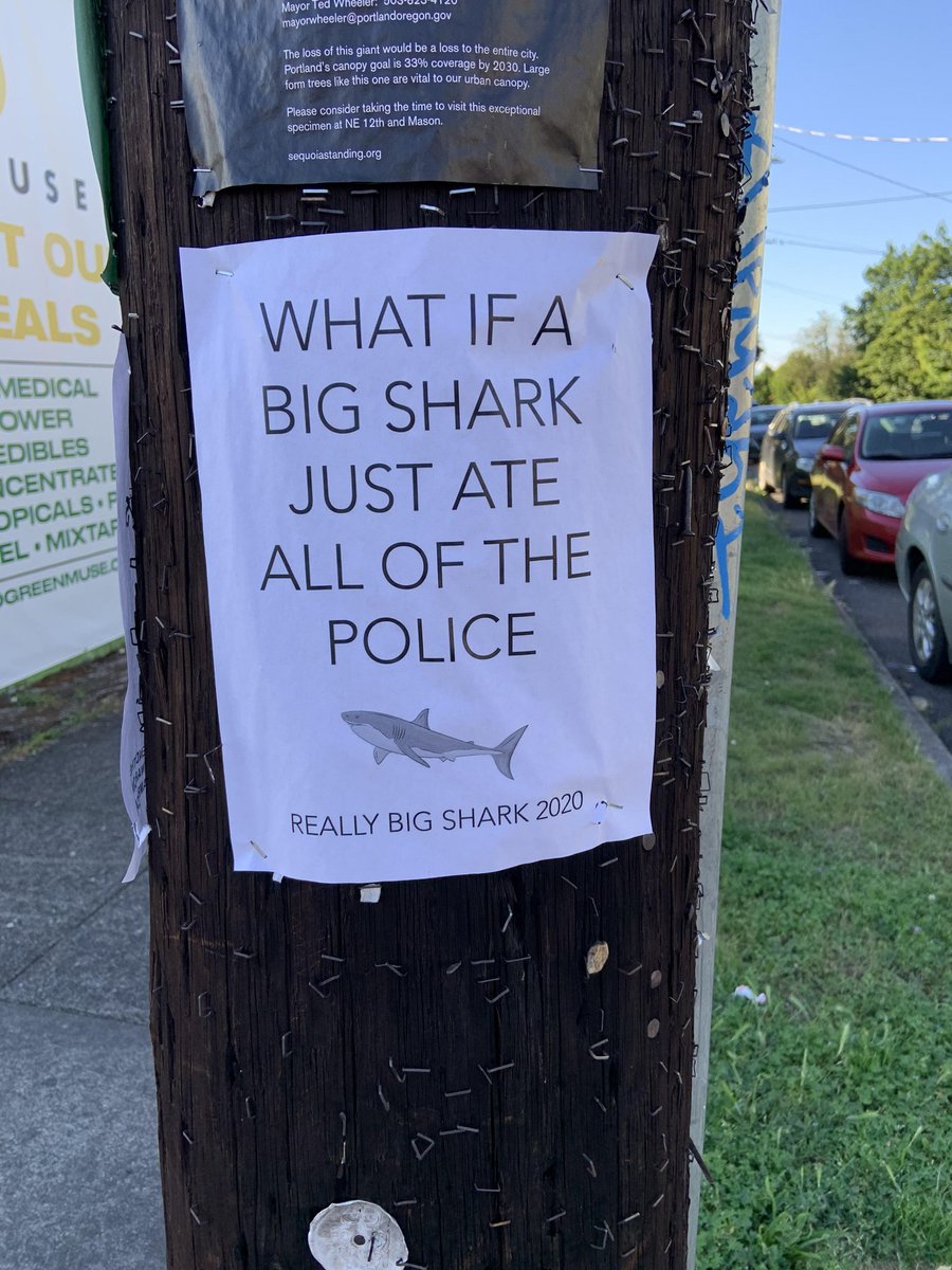 leo (@leonardcowalski) on Twitter photo 