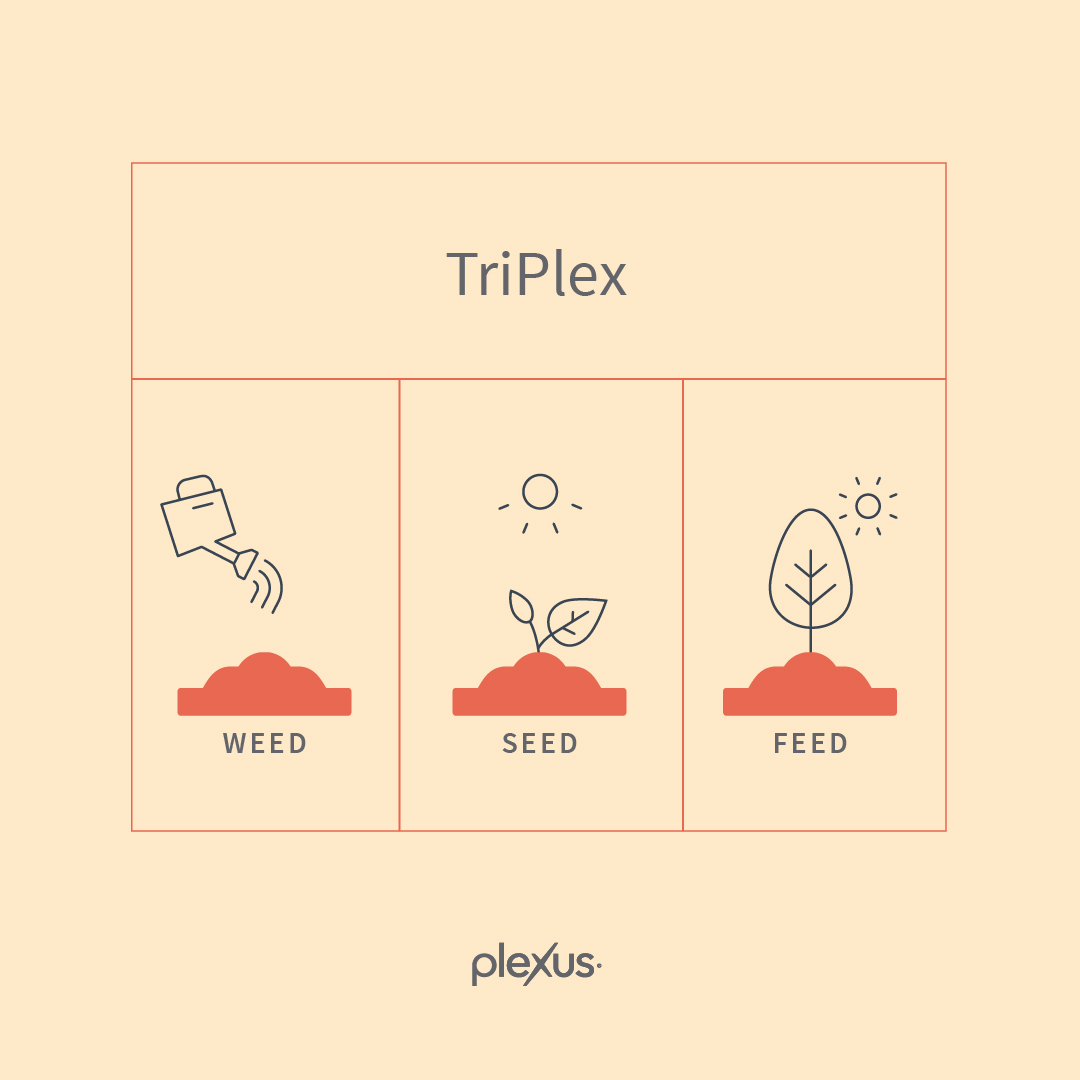 PlexusWorldwide's tweet image. Weed, seed and feed your gut with the TriPlex Combo! 🌱👩‍🌾 Comment below and tell us what your favorite Plexus® product is in this Combo! ⬇ #PlexusTriPlex #PlexusSlim #ProBio5 #BioCleanse #GutHealth bit.ly/ShopPlexusProd…