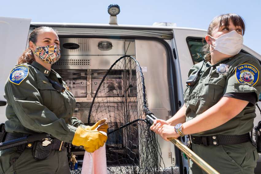 SF Animal Care & Control on Twitter: SF Animal Care & Control on Twitter: