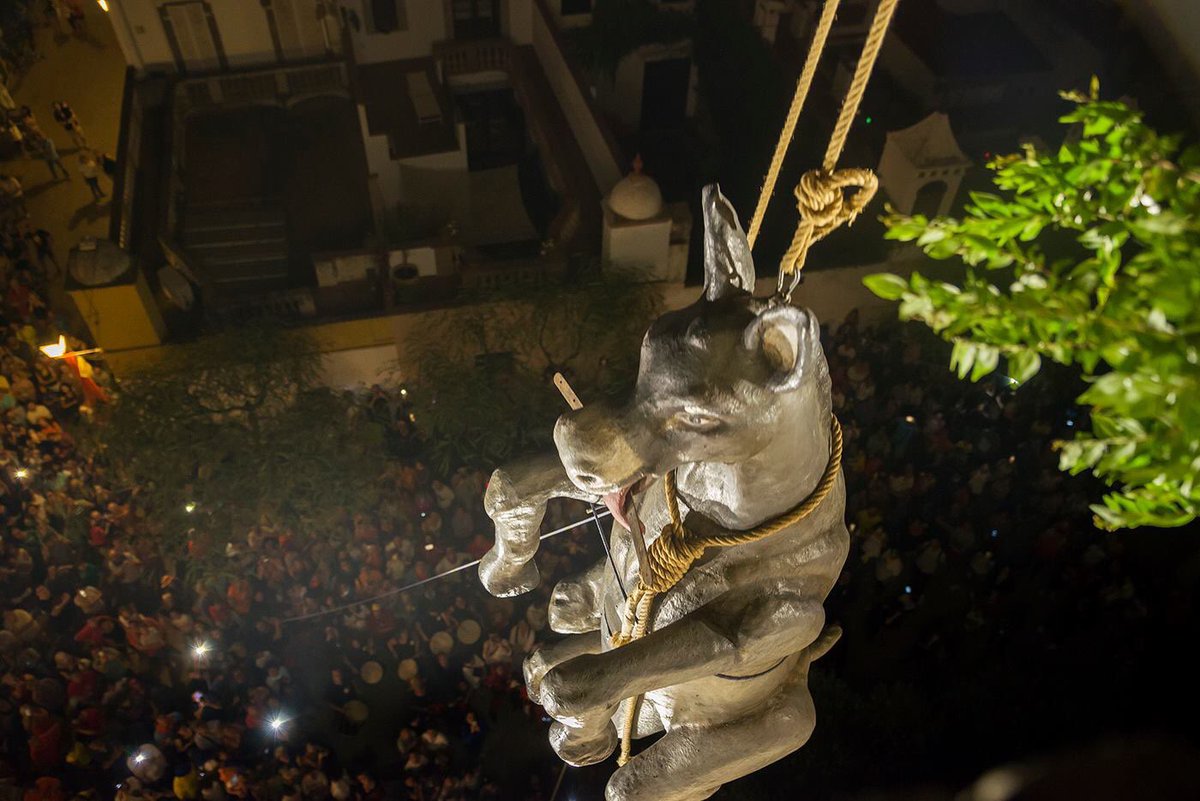 Mansuetsdefoc's tweet image. Al cam­pa­nar de VdM hi van créixer unes her­bes i no sabien com treure-les👉🏽Els vilas­sa­rencs van pen­sar que un ase se les podia men­jar👉🏽el van fer pujar amb una corda lli­gada al coll i l'ani­mal es va esca­nyar👉🏽D'aquí prové que als vilas­sa­rencs ens ano­menin pen­ja­ses