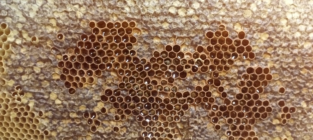 Apiads2's tweet image. #Api2