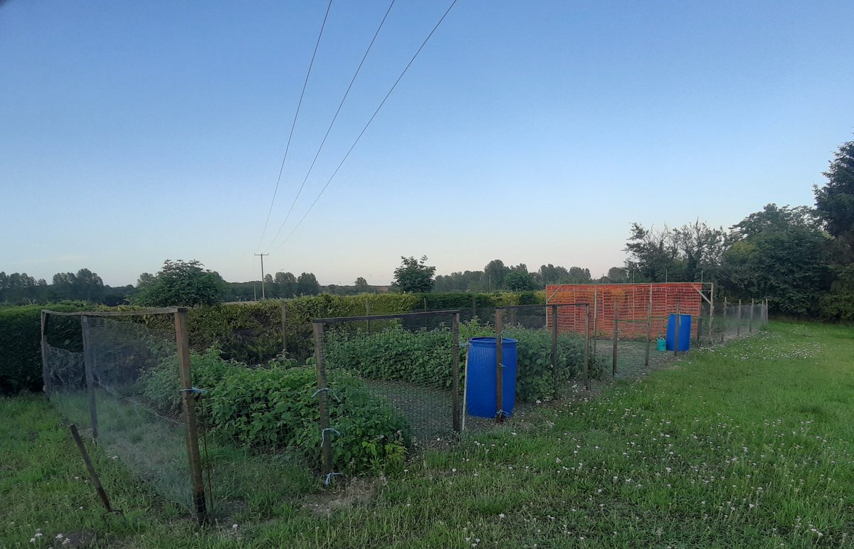 John Read tweet media