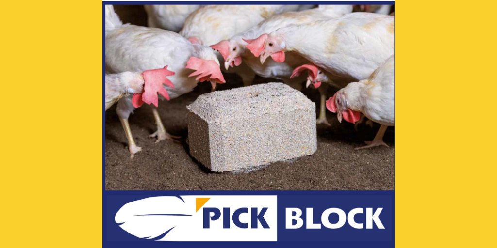 BDCommodities's tweet photo. PICKBLOCK activity material for poultry is now available to buy online in our website shop: https://t.co/xWuaPhZNA8
#poultry #chicken #poultryfarming #poultryrearing #organicfarming #organiceggs #eggproduction #eggs #featherpecking #egglaying #broilers #turkeys
๐๐๐๐ฆ๐ฆ https://t.co/PmF0JUSKYs
