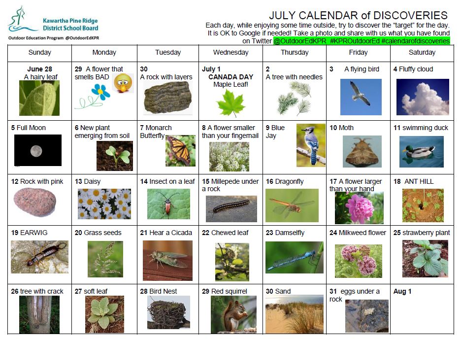 OutdoorEdKPR's tweet photo. We are posting our JULY #Calendarofdiscoveries early in case you wanted to give your students some outdoor homework 😉@kprschools #KPRLearningatHome https://t.co/FcDNXDtVtq