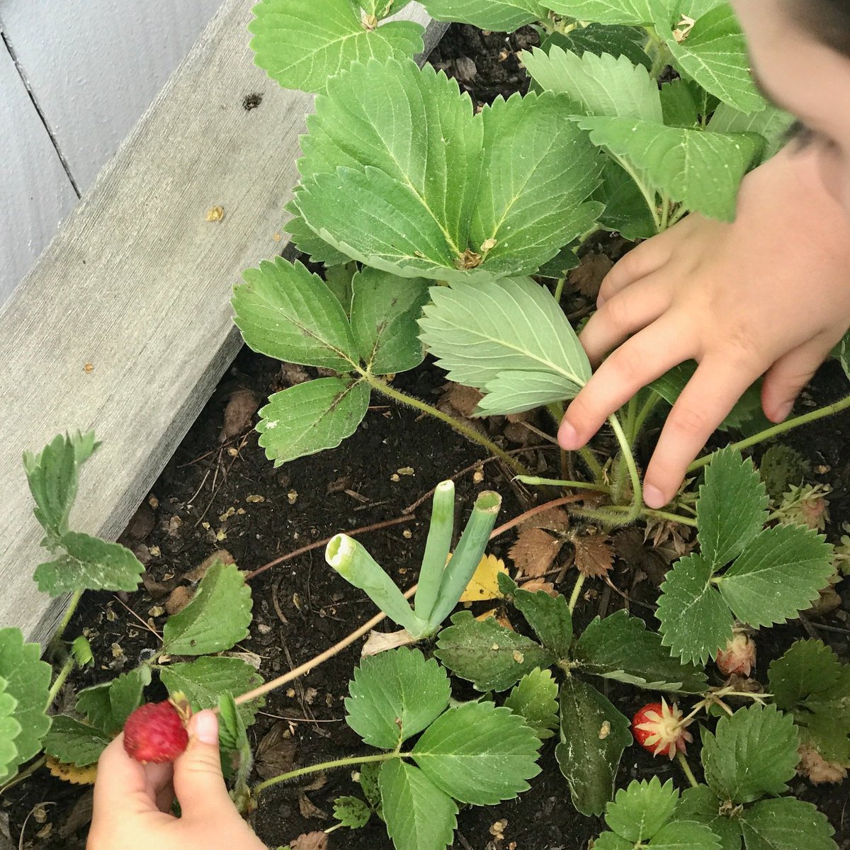 Liz Rueven tweet media