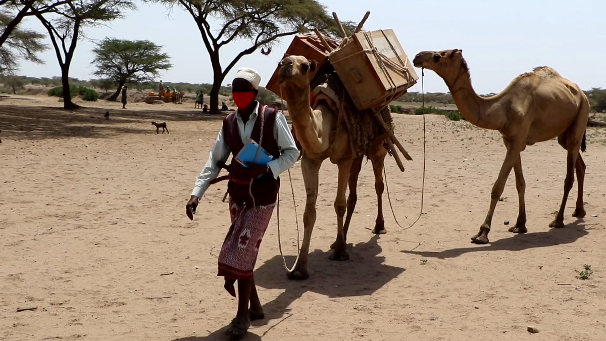LibraryJournal's tweet photo. By camel in Eithiopia, by drone in Virginia, librarians get books to young readers in far-flung communities during #Covid lockdown. -via The Big Issue.  https://t.co/8RpefbPUpK
#SaveTheChildren #GoogleWing https://t.co/Kr6yu6a7XP