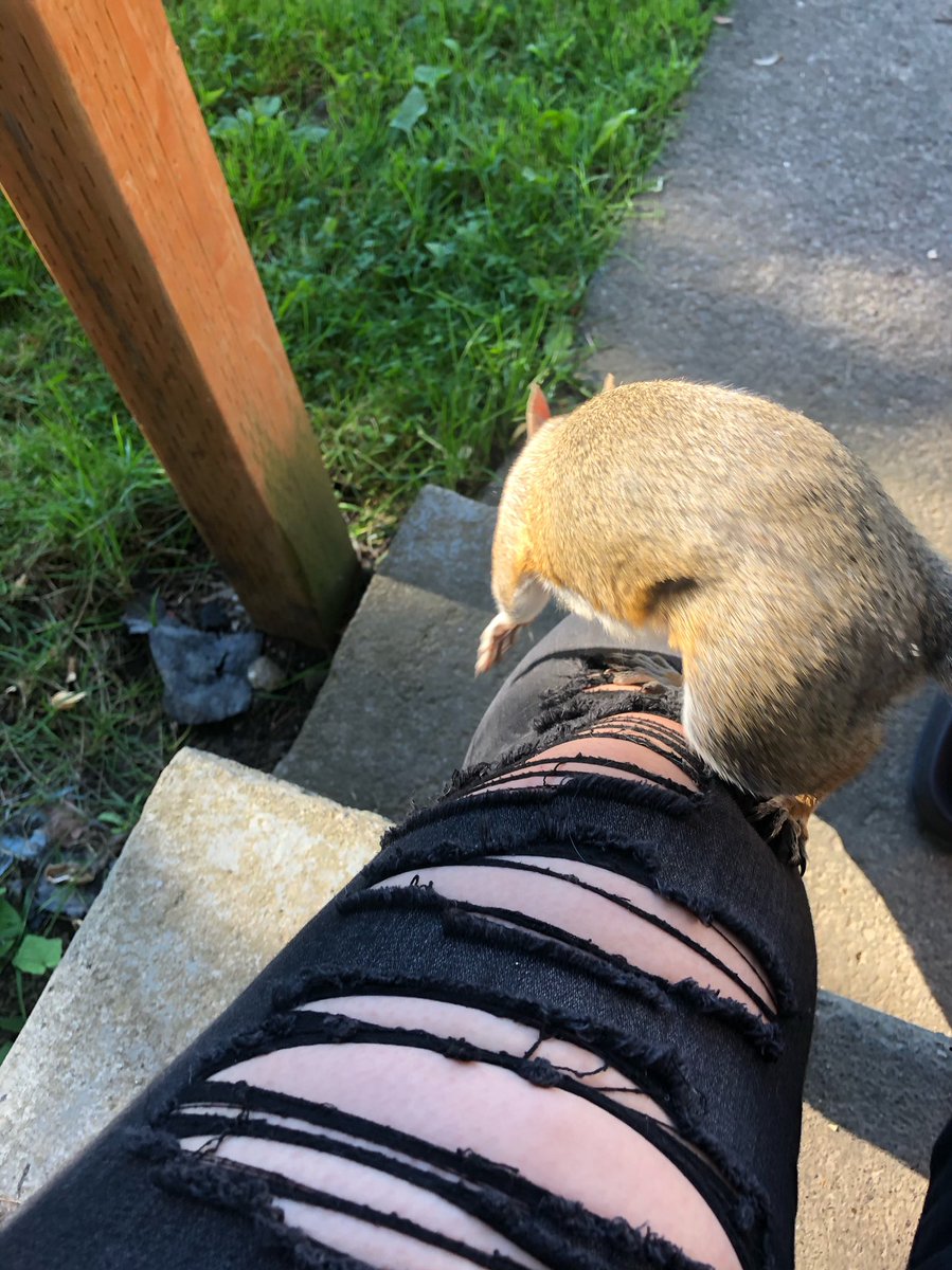 Keelyjeannn's tweet photo. carl got his nut and left, typical male. 🙄🐿🥜 https://t.co/SBipzKioHT