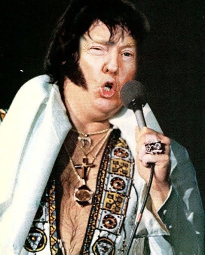 thebaxterbean's tweet image. 