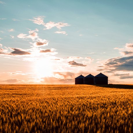 Are you a farmer in  #Leduc Region, or maybe you know of one? Have you heard of  @OpenFarmDays? This awesome event taking place on August 15-16th allows local farmers to showcase their farm in a fun, engaging, and meaningful manner! Keep reading for more info! #DiscoverLeducRegion