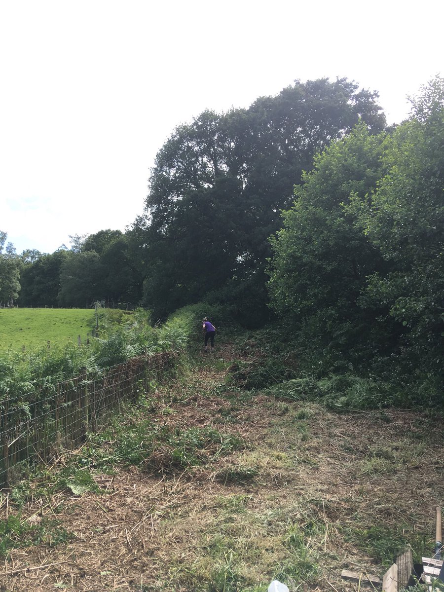 ValleyDare's tweet photo. Thank you to todayβs helpers - you did a fine job clearing a lovely area extending our #ForestGarden π³ππ¦π #TreeCharterGroup #Cooperative #CommunityWoodland #Wellbeing @WTSarahShorley @lovesmallwoods @TalkValleys @HeritageFundCYM @PyCCommunity @_OLW_ https://t.co/AYMTJx2qzl