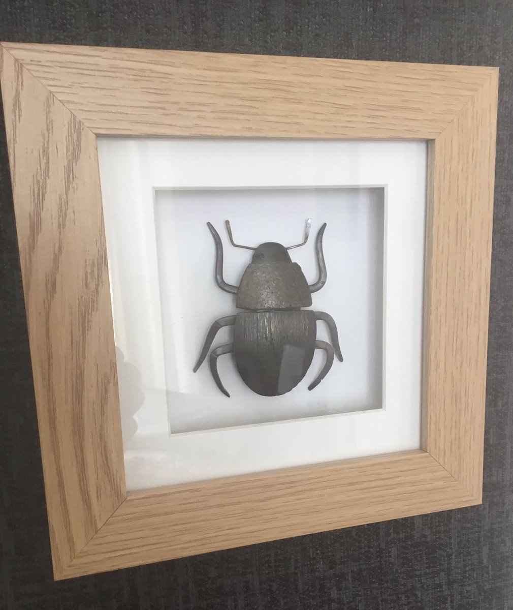 My young grandson loves all insects, he’s now got one of my scarabs on his bedroom wall ....love it😊
#NationalInsectWeek