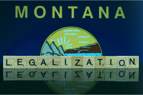 TeamStickyleaf's tweet photo. On Friday, Montana activists will be turning in more than 130,000 signatures for marijuana legalization initiatives to be on the ballot in November. 

Read about them here.

https://t.co/YZvqF0c39H https://t.co/MMtdXii00f