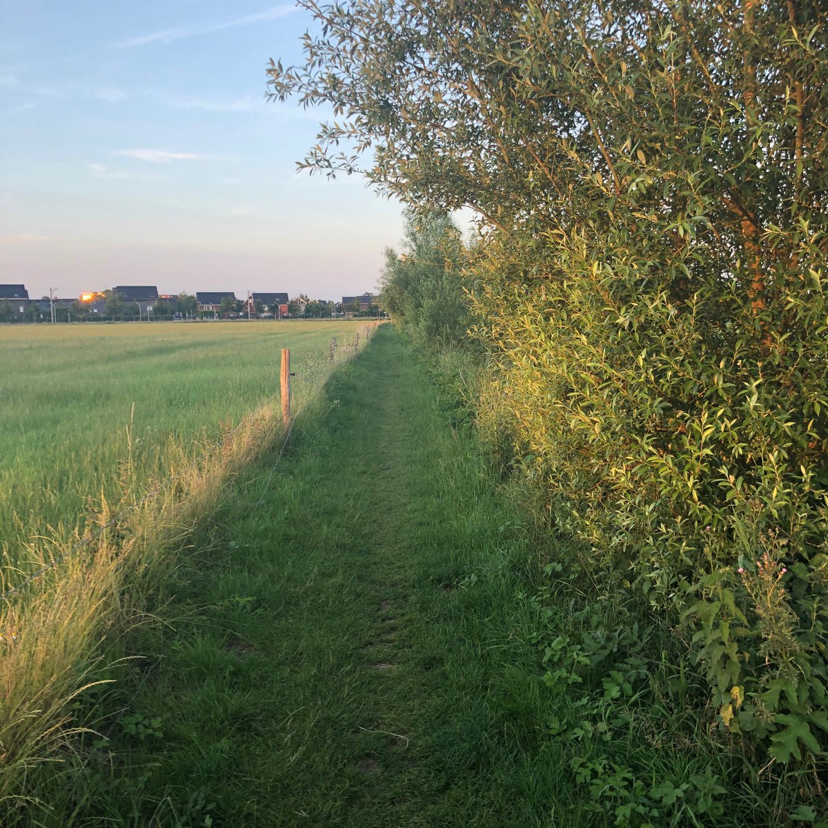UwStadsboer's tweet photo. Kom wandelen op de Tippe! #tippe #koeienpad #uwstadsboer https://t.co/hoaz7QdA69