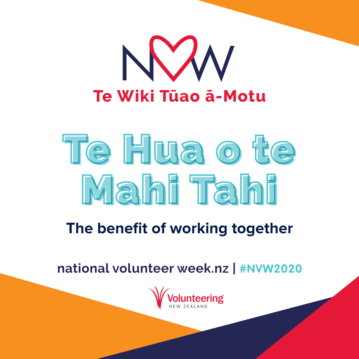 WaitakiMuseum's tweet photo. A huge, massive, ginormous thank you to all our volunteers at the Waitaki Museum & Archive. Thank you for all the work you do indexing, transcribing, researching and more. (And thanks for your patience during the work on our building too!) #NVM2020 https://t.co/3Y9tJZ4Y1N