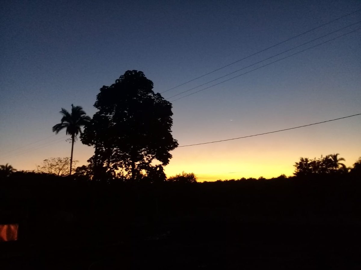 Teixeira tweet media