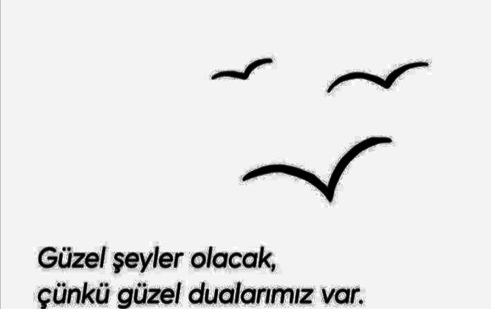 zugasiberepe35's tweet photo. Gönülleri, çaydan, kahveden, şiirden, türküden sevgiden, barıştan geçen insanlar var ya, işte onlarla güzel bu dünya...

#dostlarima #selamolsun 

🌊🙏🌊 https://t.co/JrLwHRNtWY