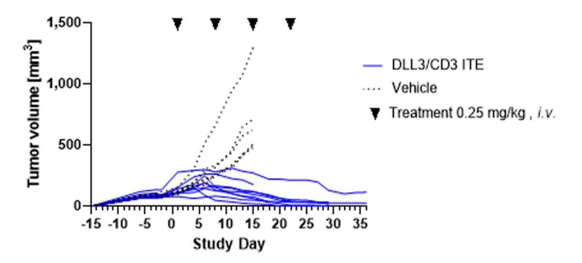 MI_mAbs's tweet photo. DLL3/CD3 #BispecificAntibody specifically redirects T cells to lyse #SCLC cells expressing Delta-like ligand 3 and leads to #tumor regression in an in vivo model #SusanneHipp et al. @CCR_AACR https://t.co/SXeqG4n5hL https://t.co/yxB5VdEbCt