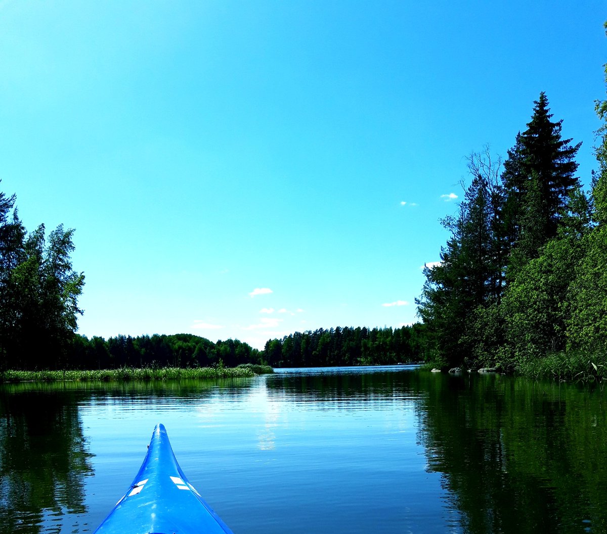 markkutaivainen's tweet photo. Melontaa Suomen suviyössä maisemista nautiskellen 💙 💚 #melonta #meloja #kajakki #kayak #kajaking #canoeing #kesä #kesäloma #canoelife #canoesport #outdoorsfinland #Suomenkesä #melontaretki #finishnature #järviluonto #Häme #Juhannus #Juhannus2020 #Joutenolossa #Finland 🇫🇮 https://t.co/WiP6k0AQBE