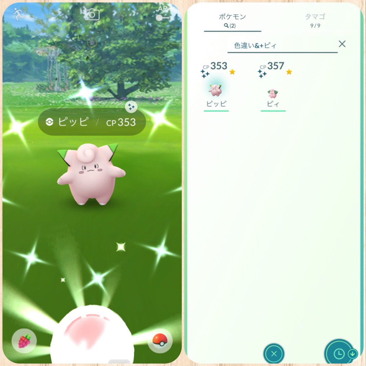 ピッピのスポットライトアワー1匹目色違い ツイレポ