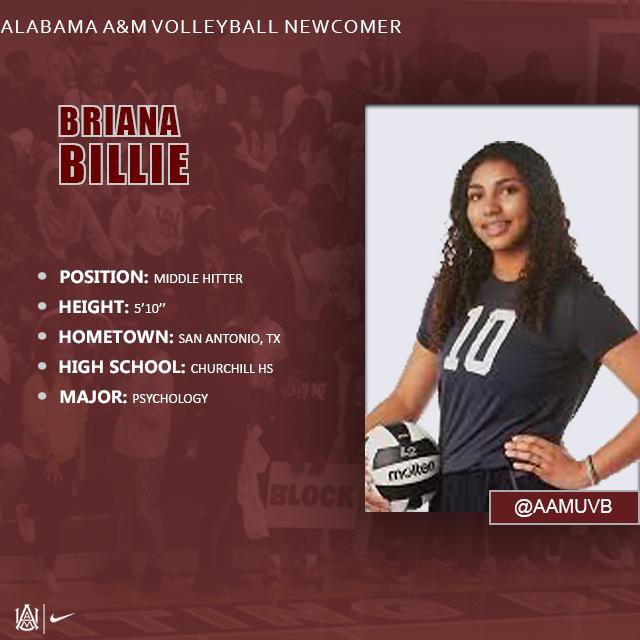 Alabama A&M Volleyball tweet media