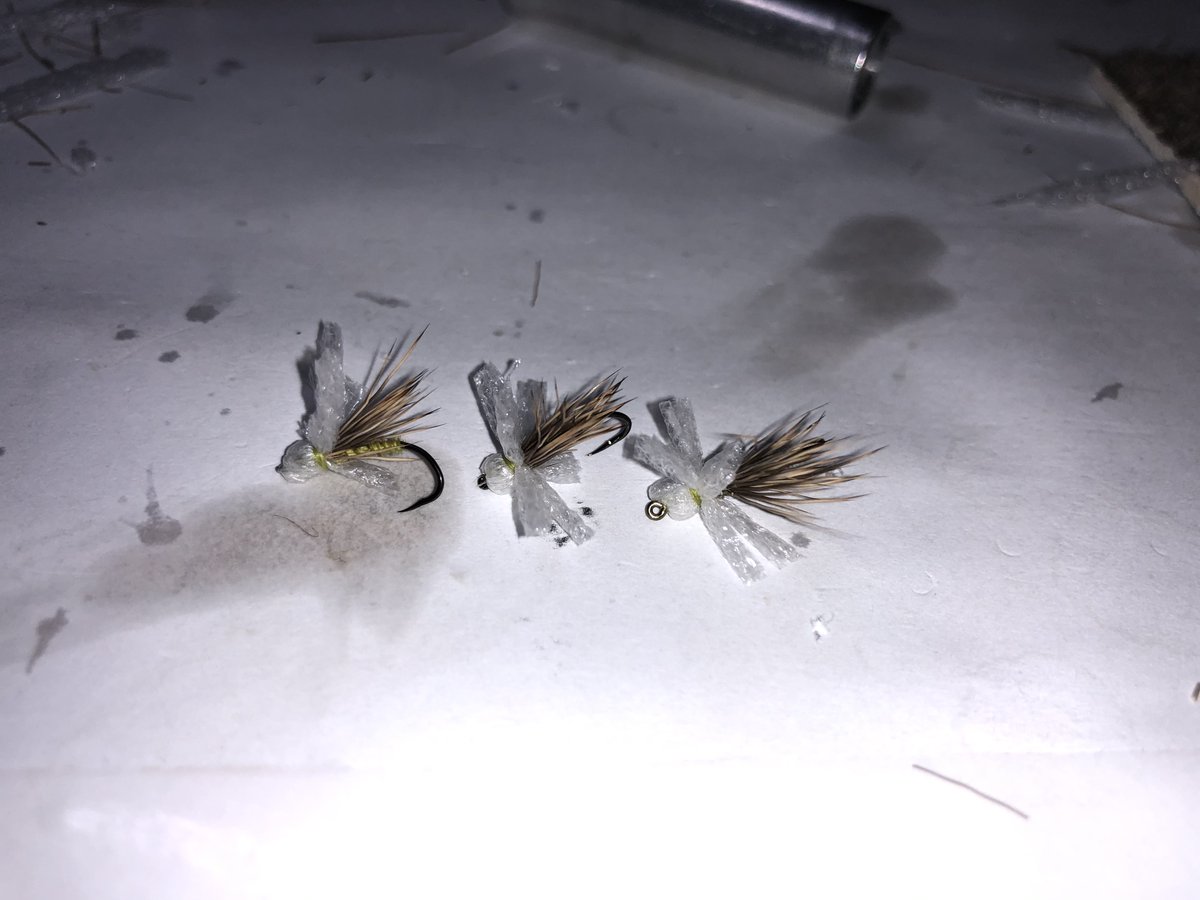 DennisTWatson's tweet photo. Little Blue Winged Olive - Drunella cornutella - LaFontaine Olive Biot Air Head - Size 14 - 16 https://t.co/T2nREqET5W