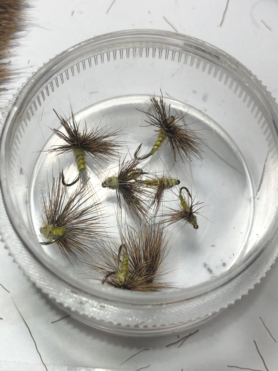DennisTWatson's tweet photo. Little Blue Winged Olive - Drunella cornutella - Biot Bodied Compara Duns - Size 12 - 16 https://t.co/rIkqxN3nSt