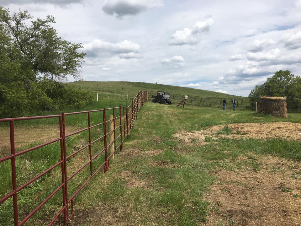 return2rural's tweet photo. They got fencing installed at the Altario Agriculture Learning Centre!
#R2RWeekendRecaps #R2R #R2RSchools #SpecialAreas #Alberta #Return2Rural #AltarioAgricultureLearningCentre #Fencing
https://t.co/e9iSWPpBfG https://t.co/cusDk5OMAb