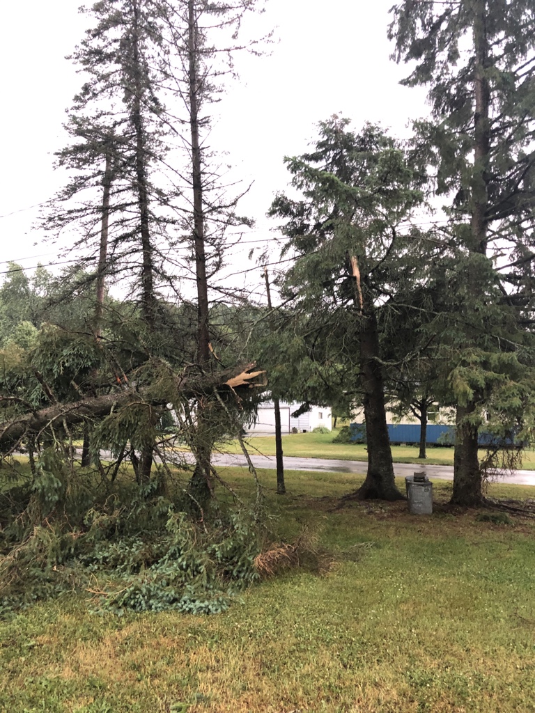 RahrOne's tweet image. Storm damage Wellsville NY. @NWSBUFFALO #BUFWX