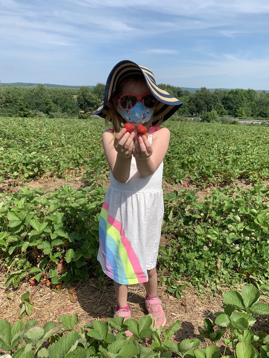 Cody Locke (@quantalcontent) on Twitter photo #Sidonie and I enjoyed picking #LymanStrawberries and getting our #VitaminC <a href="/LymanOrchards/">Lyman Orchards</a>. <a href="/CAIStartups/">The Center for Advancing Innovation</a> #InnovateChildrensHealth #COVID19 #coronavirus #WearAMask #Sidonie and I enjoyed picking #LymanStrawberries and getting our #VitaminC <a href="/LymanOrchards/">Lyman Orchards</a>. <a href="/CAIStartups/">The Center for Advancing Innovation</a> #InnovateChildrensHealth #COVID19 #coronavirus #WearAMask