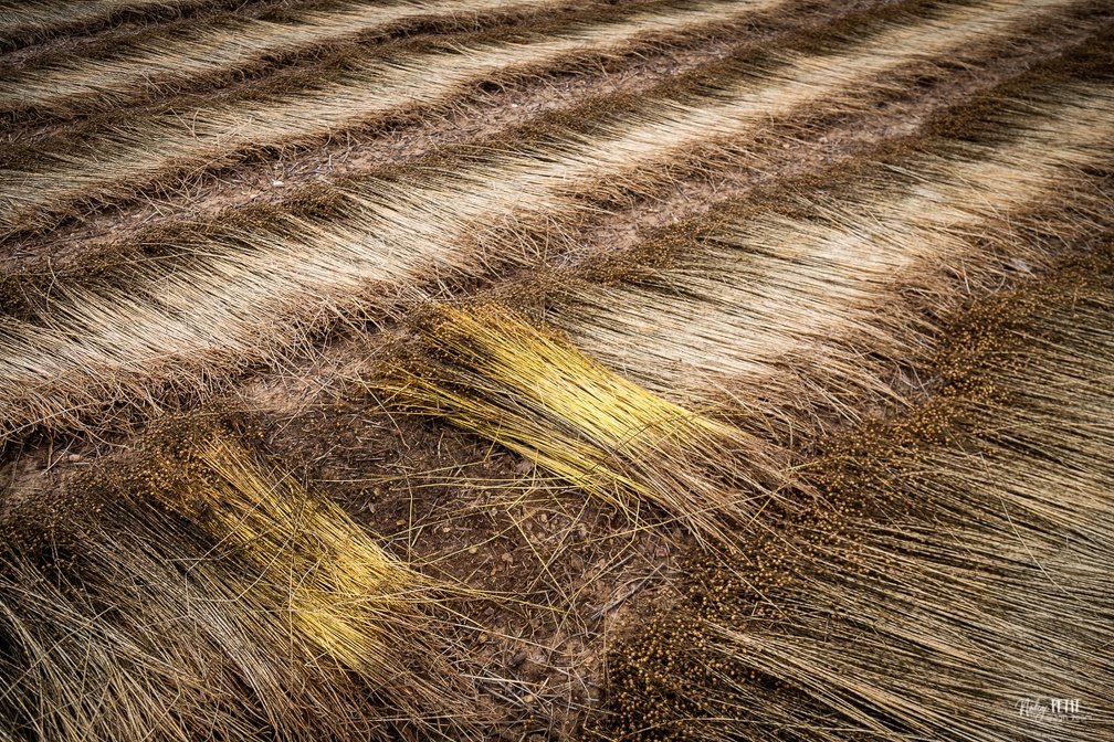 Nadège PETIT 👩‍🌾 tweet media