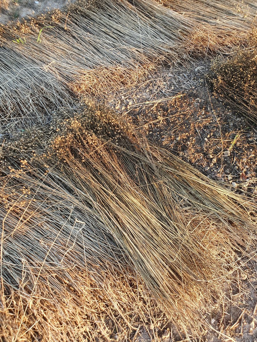 Nadège PETIT 👩‍🌾 tweet media