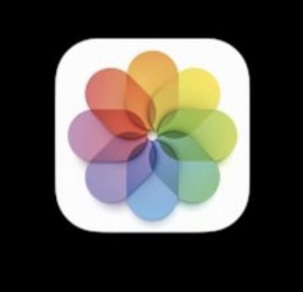 FELASQUEZ tweet media