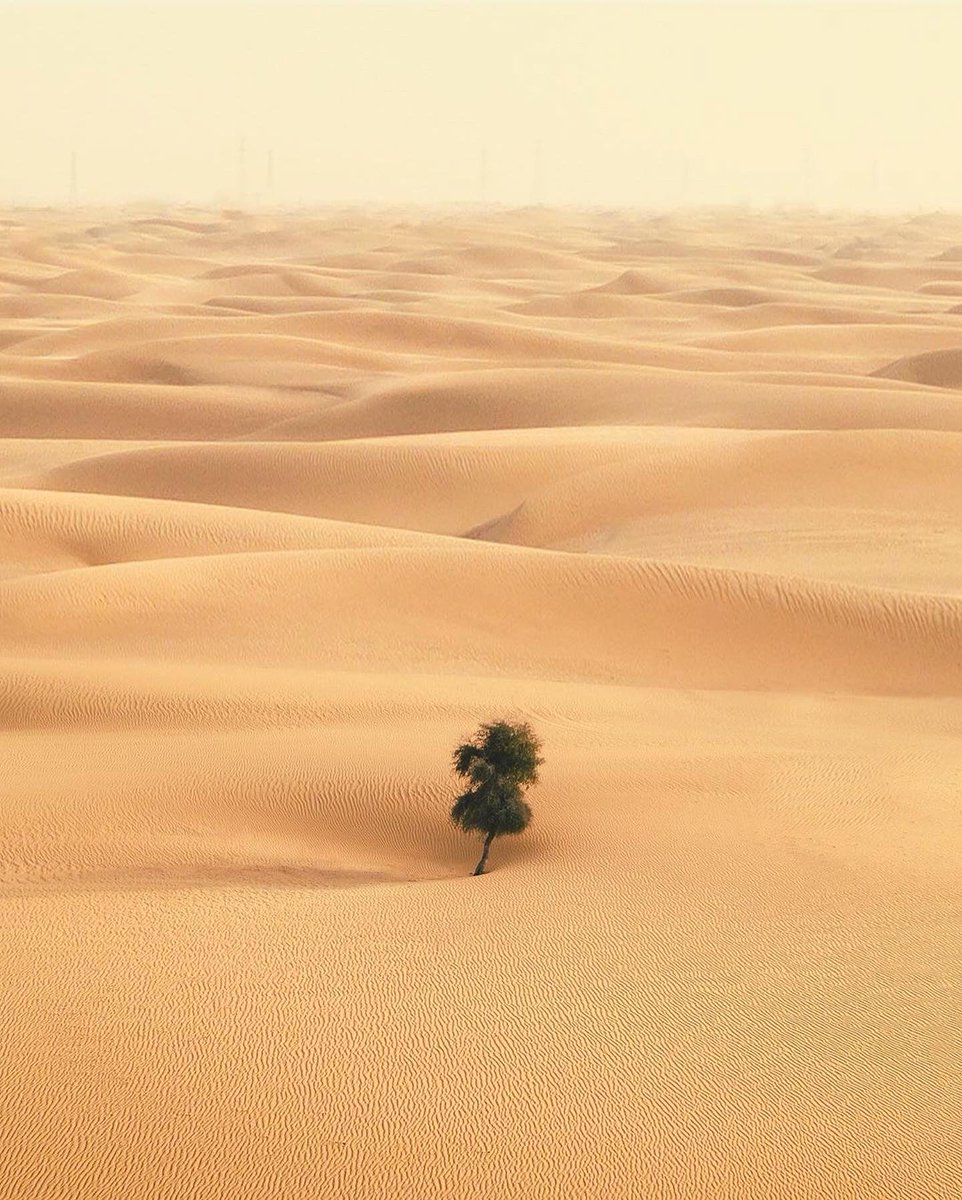 The infinite sand dunes of Dubai.