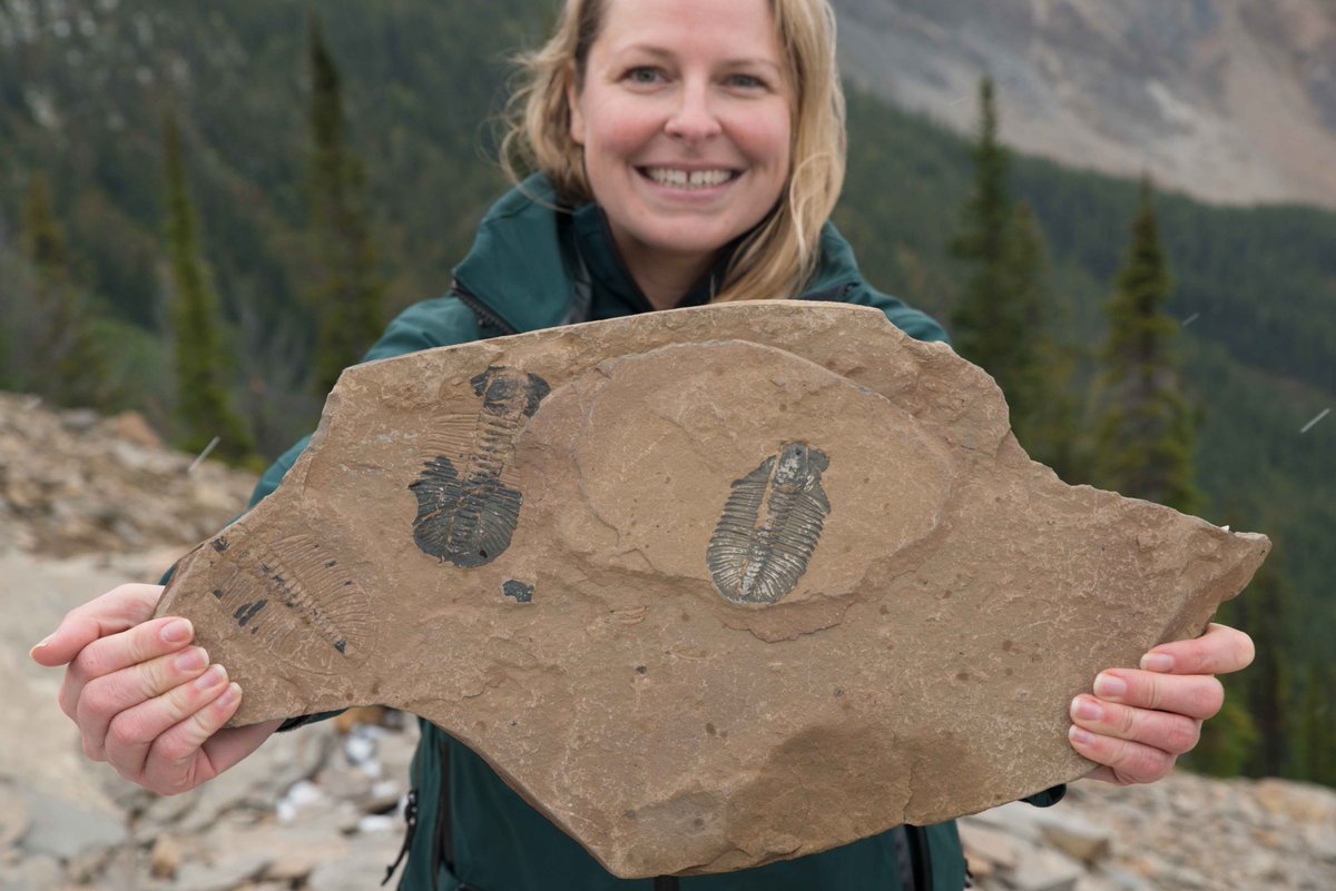 YohoNP's tweet photo. Experience National Parks without leaving your home! June 24 at 11:00 am (EN) and 12:00 pm (FR), join a Parks Canada guide on top of Mt Stephen to meet weird and wonderful fossil creatures protected in Kootenay and Yoho National Parks! https://t.co/Z9lRKxUHe3
#ParksHomeAdventure https://t.co/SWQxPE743E