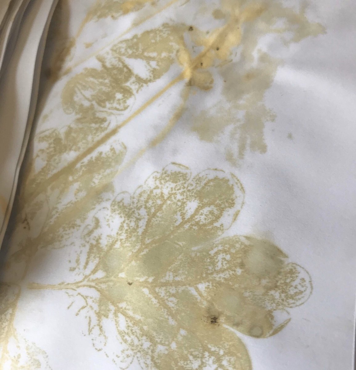 books_witchy's tweet photo. Flower print on pages. / цветочные отпечатки на страницах
#Herbalmagic #greenwitch #greenmagic #witchespotion #witchesincenses #grimoire #bookifshadows #bookofspells #магическиетравы #лечебныетравы #заговор #обряд #став #расклад #руны #таро #ведьма #шабаш #лита #runes #tarot https://t.co/2z17zrF0j2