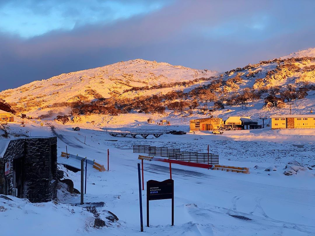 SNOWSEARCH australia tweet media