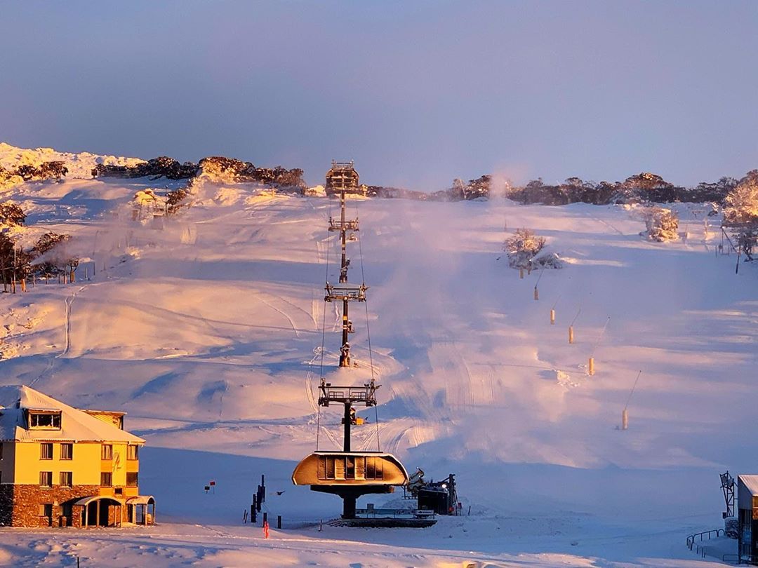 SNOWSEARCH australia tweet media