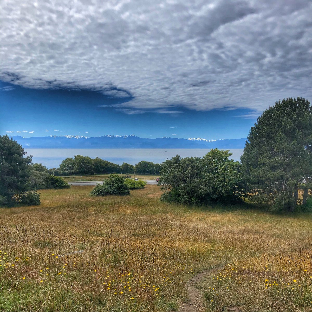 A gorgeous day up top of MEE-gan (warmed by the sun) #yyj #BeaconHillPark