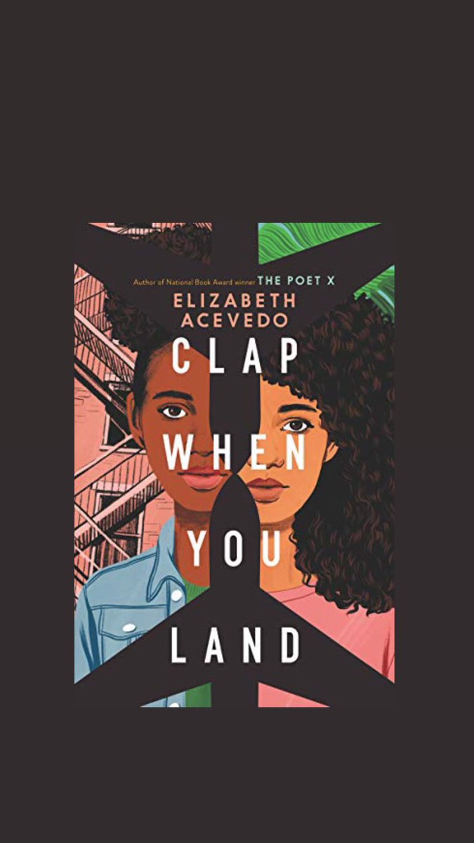 clap when you land by elizabeth acevedo! very beautiful story written in prose with an ongoing sapphic romance