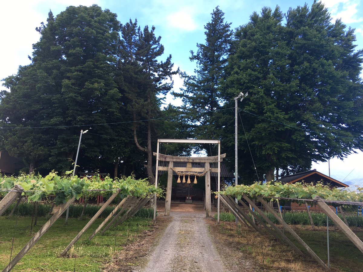 daisuke_saigusa's tweet photo. 朝の散歩、桔梗ヶ原神社と玄蕃稲荷へ。週末北小野へ引越すので、3年ちょいの間見守ってくれた御礼でお参り。あと昨年の玄蕃まつり第1部で雨を持たせてくれたお参り(遅い)。今日は珍しく北アルプスがよく見える。
#信州 #塩尻 #桔梗ヶ原 #玄蕃稲荷 #朝散歩 https://t.co/dUKuxGHNBY