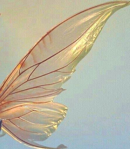 🇬🇹 tweet media