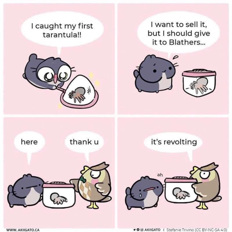 QueenDeliri0us's tweet photo. Thanks Blathers 😭 

#AnimalCrossingNewHorizions #animalcrossingmemes #memes #nintendo #NintendoSwitchOnline #NintendoSwich https://t.co/TjkoVwlmUC