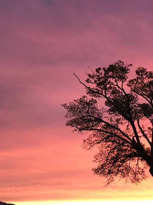 田舎 高画質 のtwitterイラスト検索結果 古い順