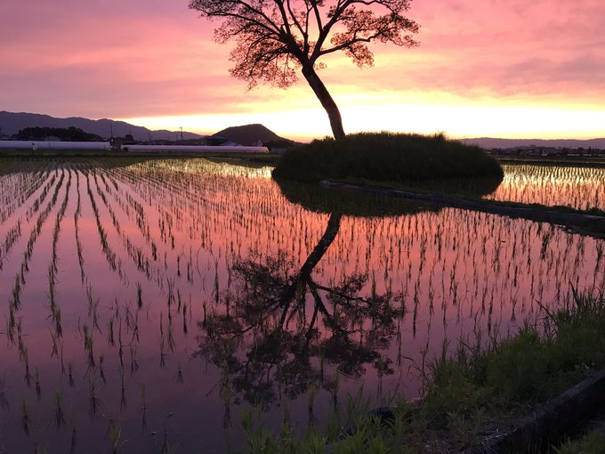 田舎の風景のtwitterイラスト検索結果 古い順 田舎の風景のtwitterイラスト検索結果 古い順