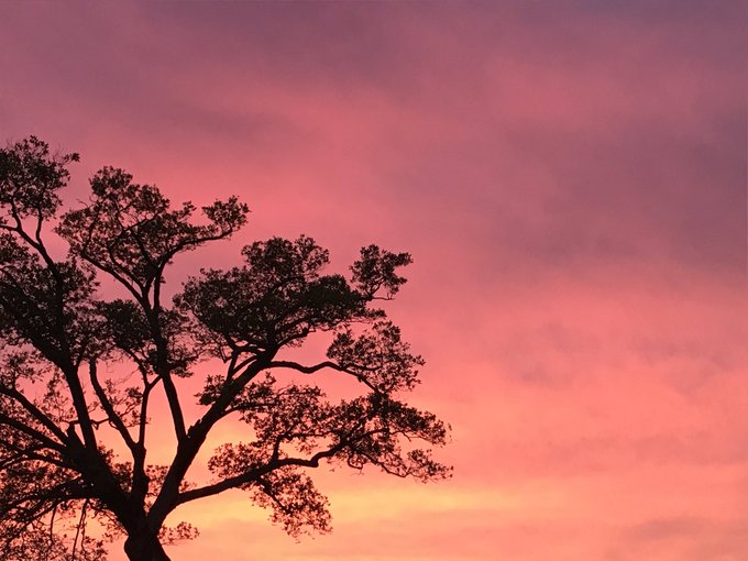 田舎の風景のtwitterイラスト検索結果 古い順 田舎の風景のtwitterイラスト検索結果 古い順