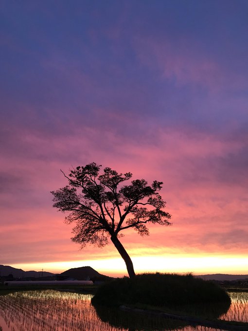 田舎の風景のtwitterイラスト検索結果 古い順 田舎の風景のtwitterイラスト検索結果 古い順