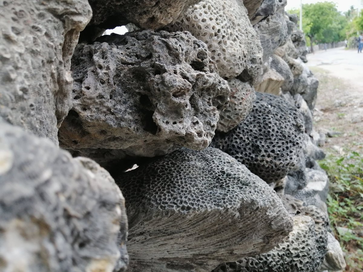 Jaffna MOJO Diaries Day 03 - Neduntheevu / Delft  #SriLanka  #beauty  #jaffna  #MOJO  #socialworklife  #socailwork  #mediacorps  #journalism &ndash; bei  Neduntheevu Island (Delft Island)